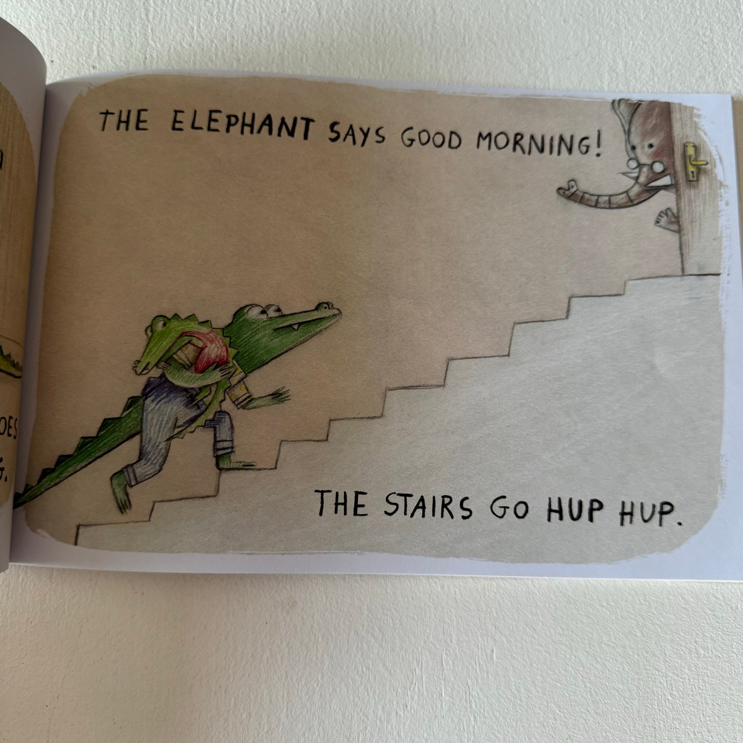What Does Little Crocodile Say? - Book