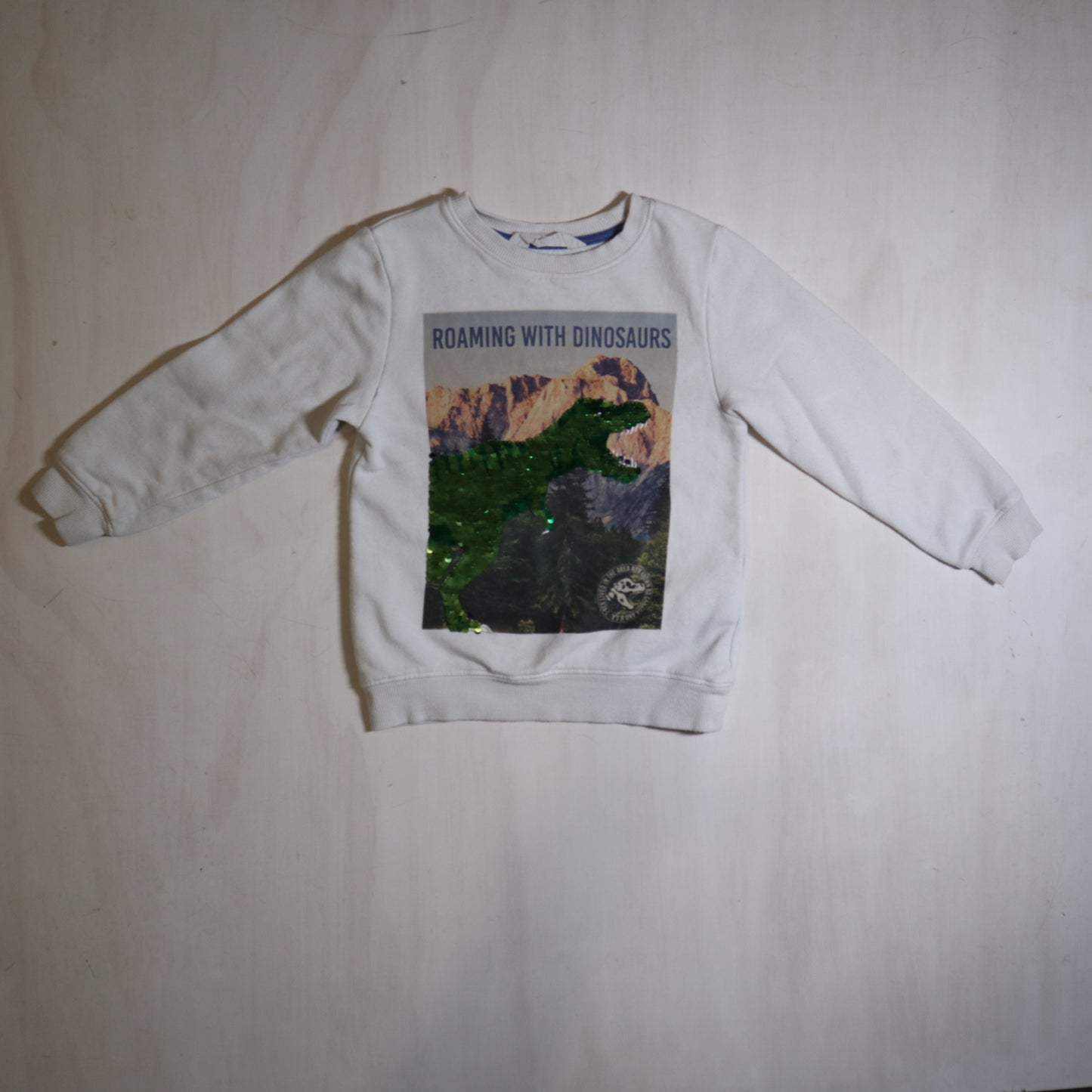 H&M - Sweater (4-6Y)