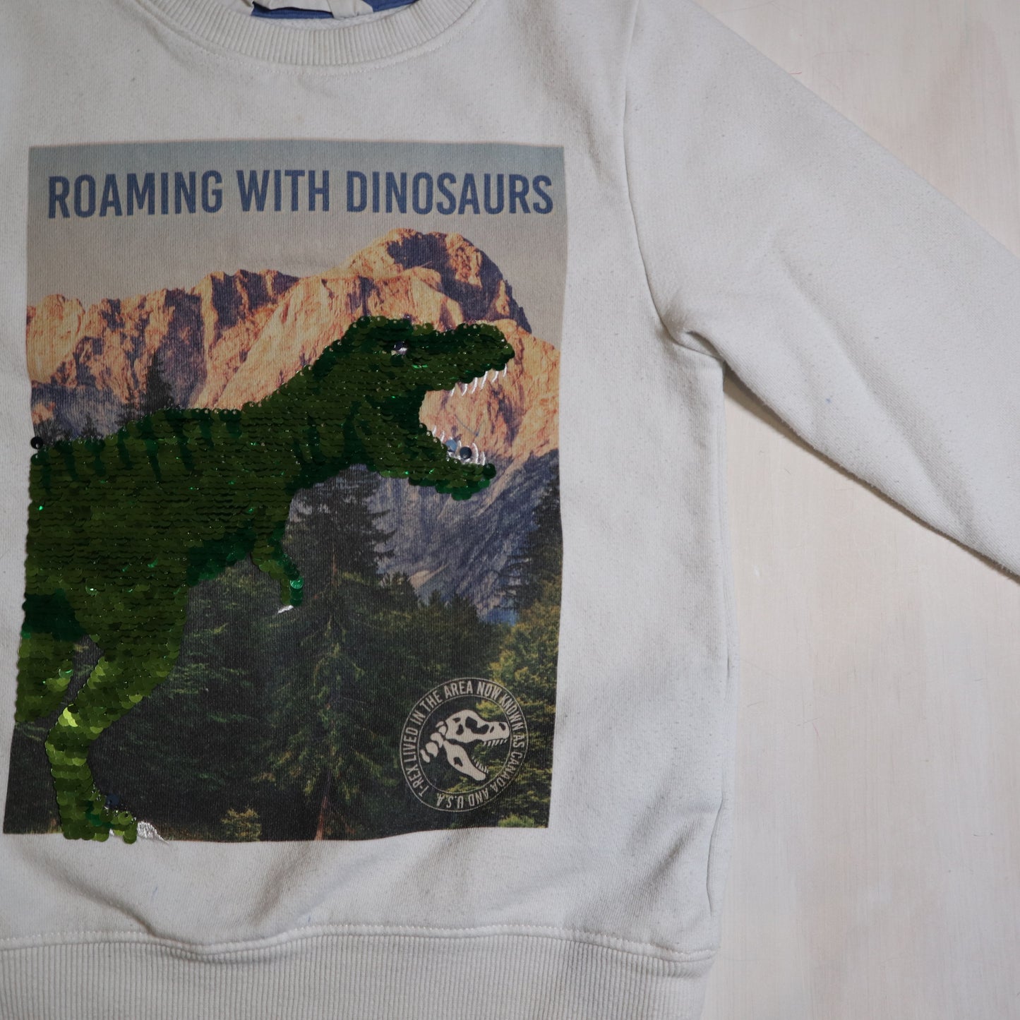H&M - Sweater (4-6Y)