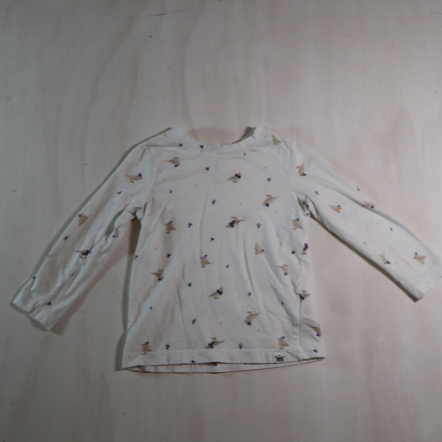 Rise Little Earthling - Long Sleeve (2-3Y)