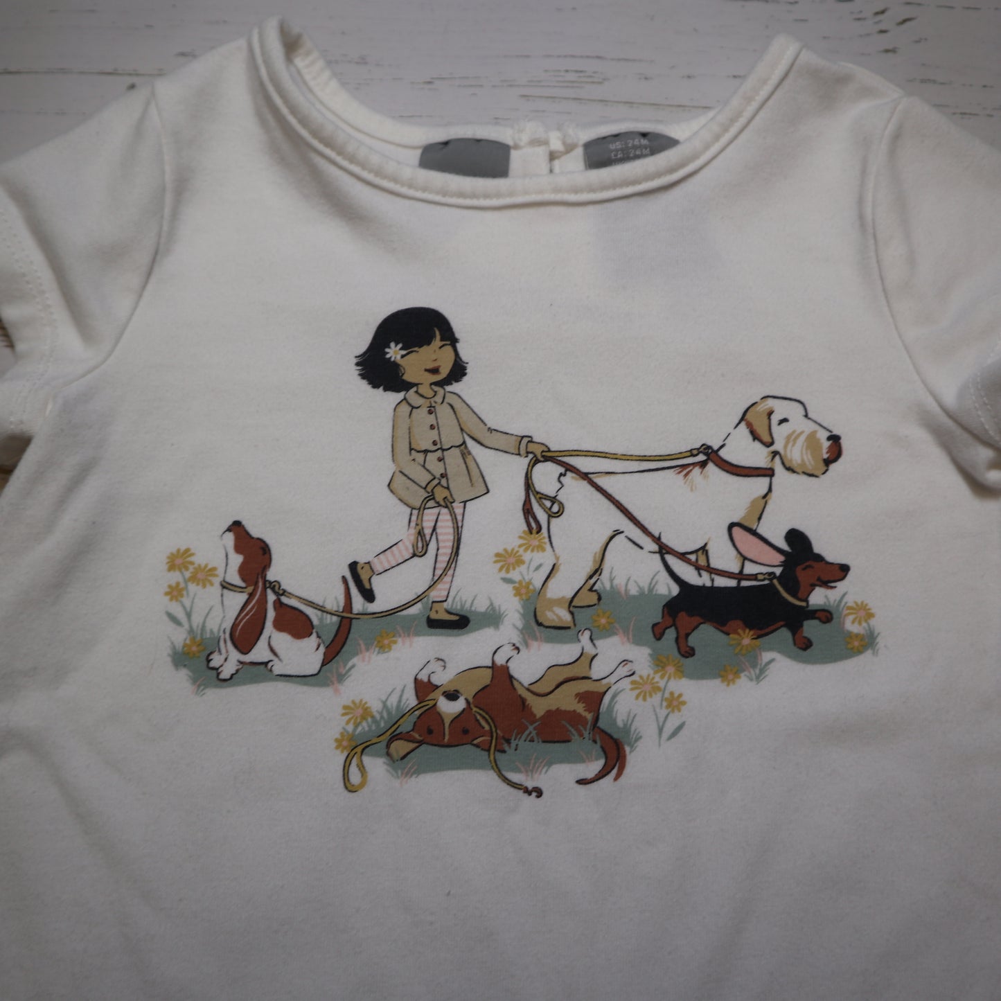 Tahari - T-Shirt (24M)