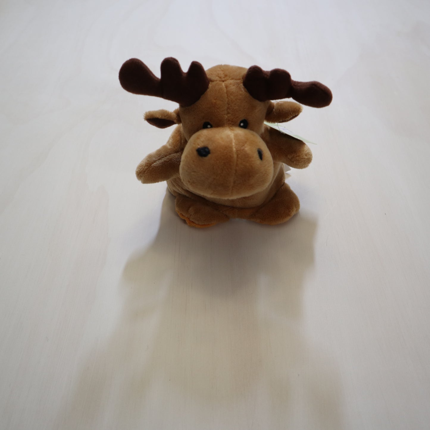 Peek A-Boo Pals - Stuffed Animal