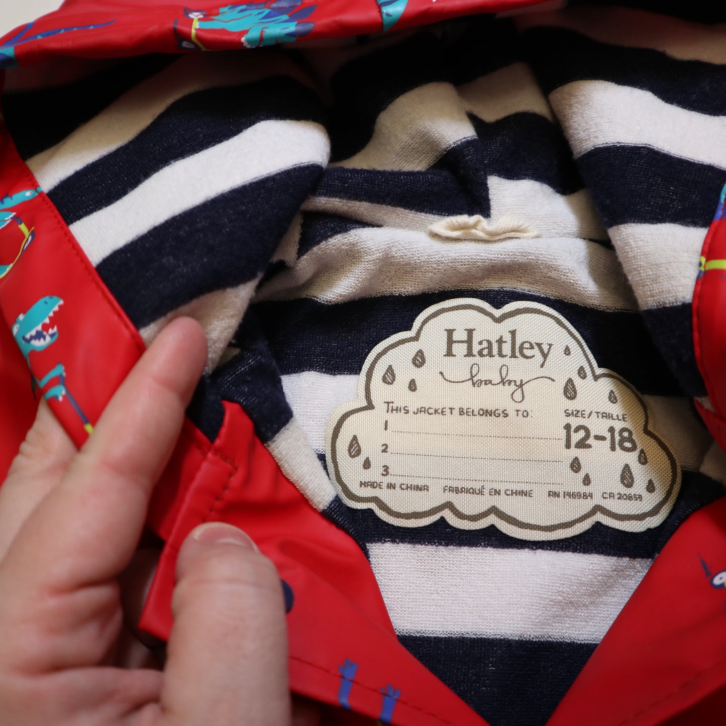 Hatley - Jacket (12-18M)
