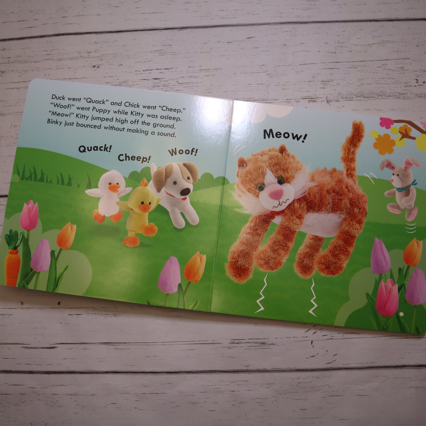 Bounce, Bounce Bunny - Board Book