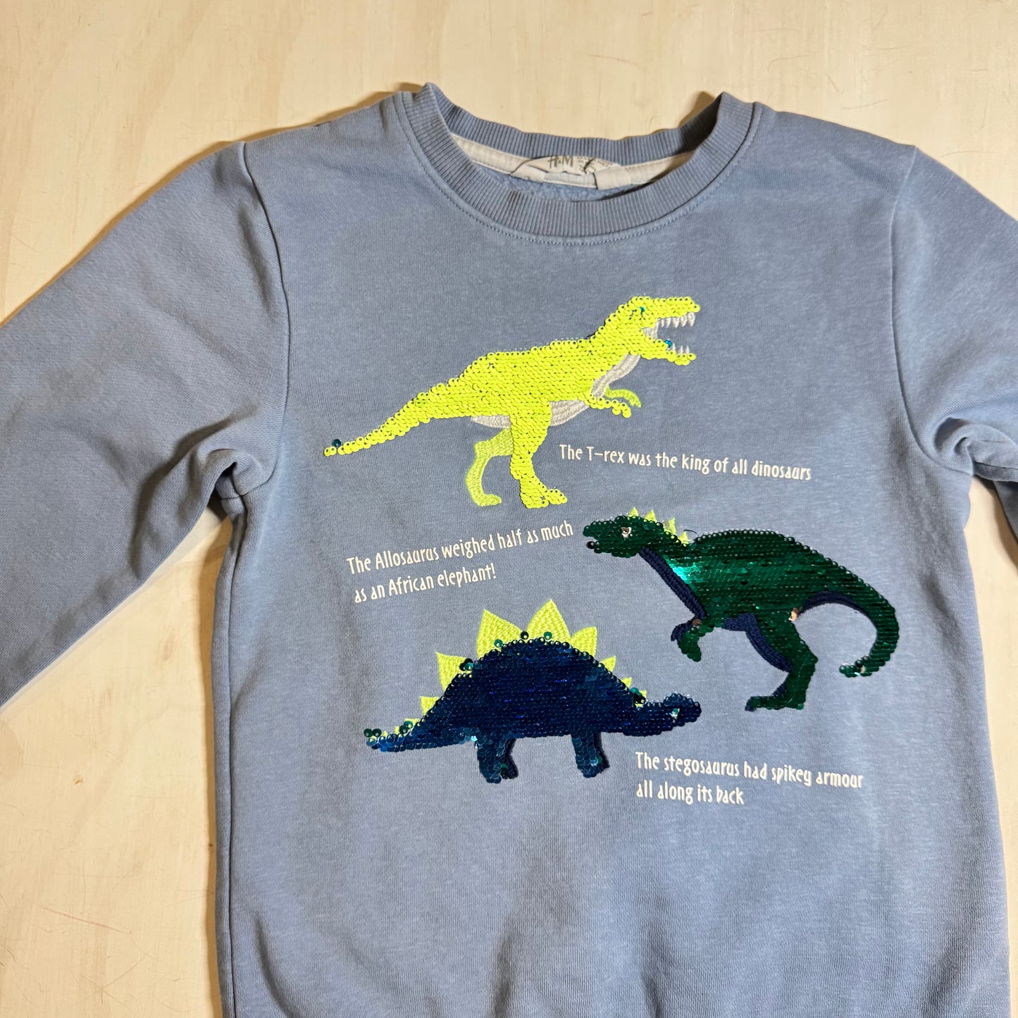 H&M - Sweater (6-8Y)