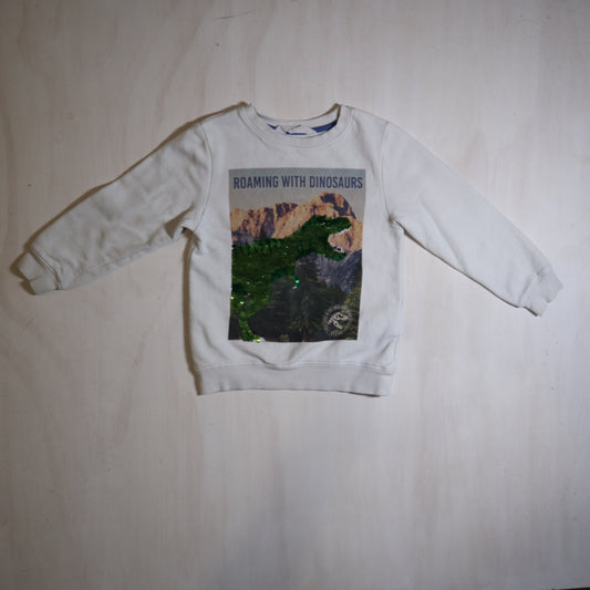 H&M - Sweater (4-6Y)
