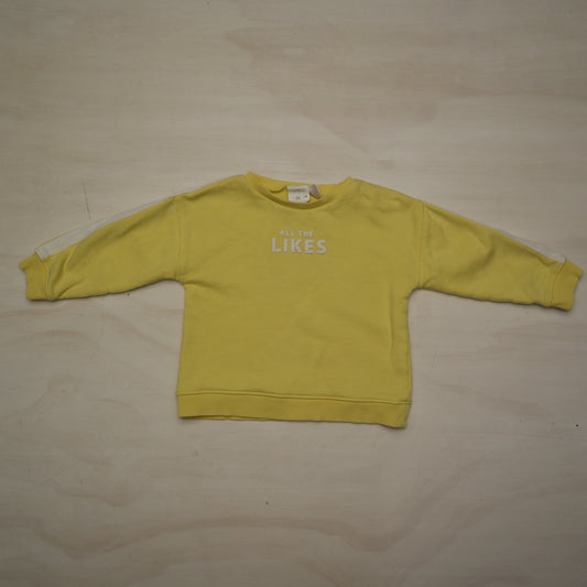 Zara - Sweater (2-3Y)