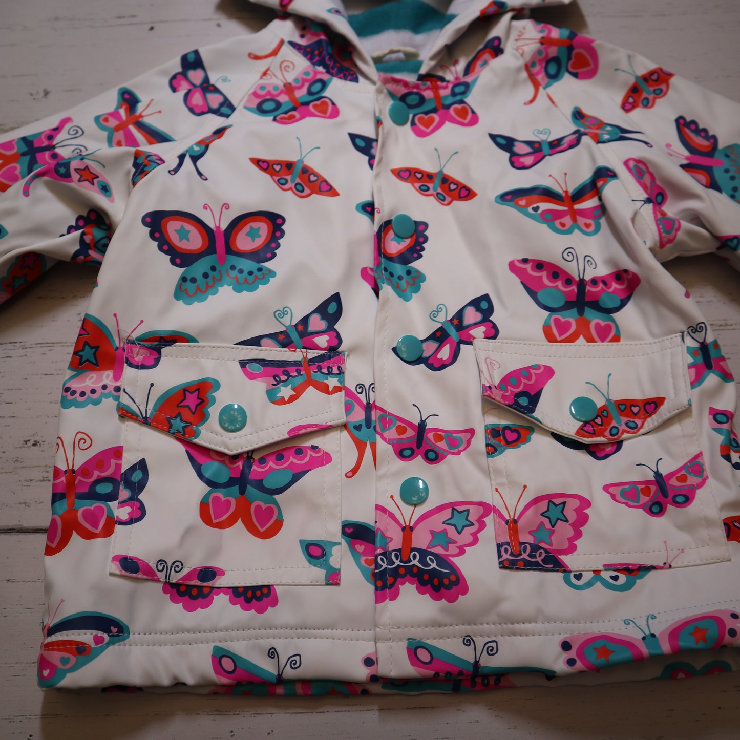 Hatley - Jacket (12-18M)