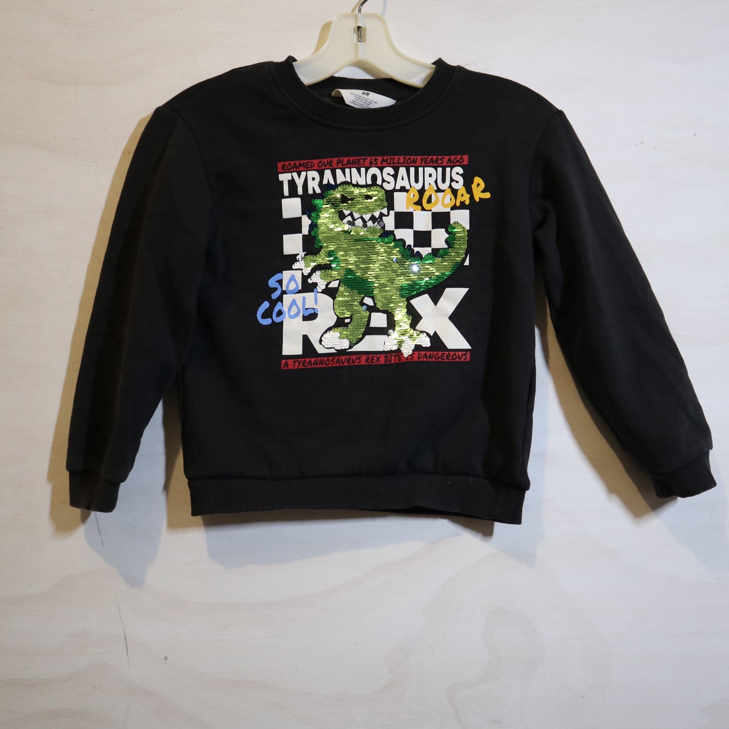 H&M - Sweater (6-8Y)