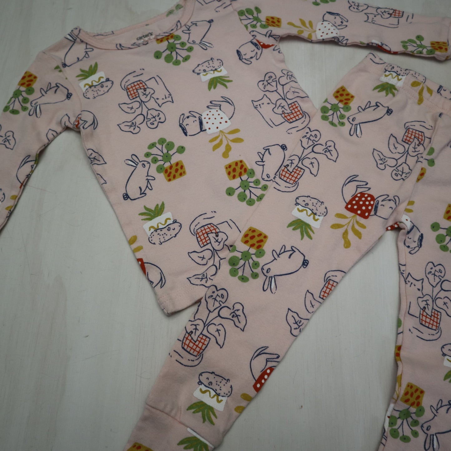 Carters - Pajamas (2T)