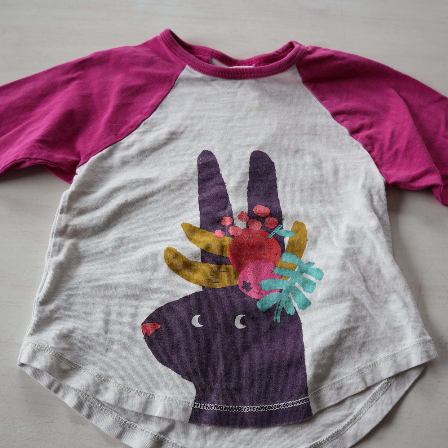 Tea - Long Sleeve (3T)