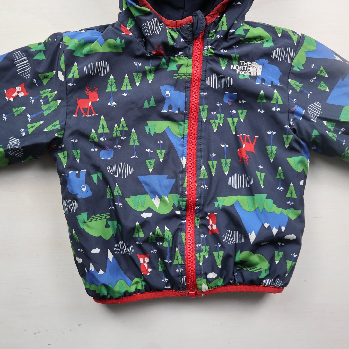 North Face - Jacket (18-24M)