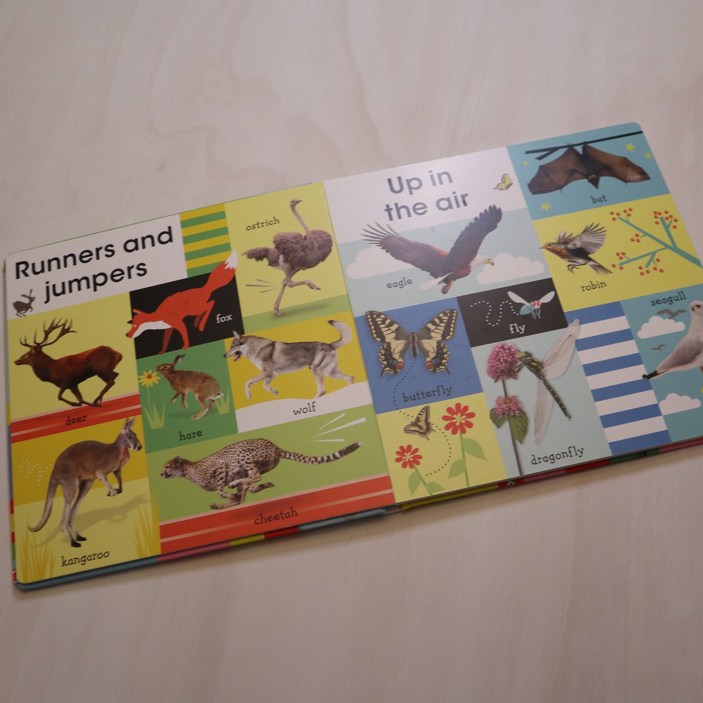 100 First Animals - Board Book